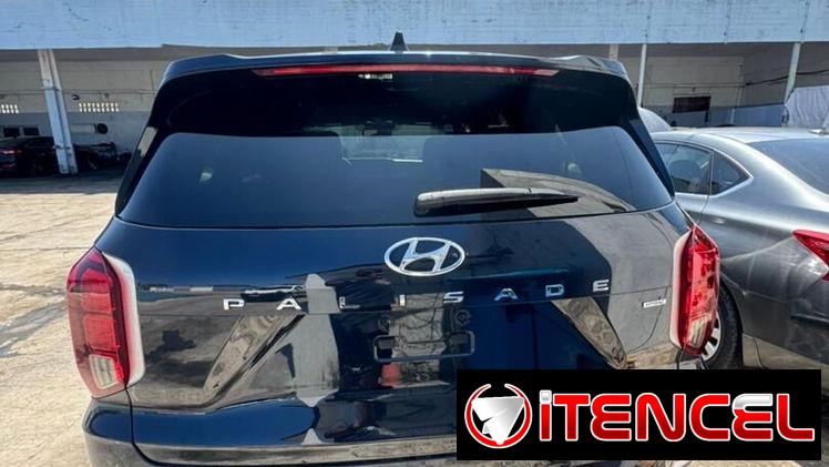 Vendo negocios Hyundai, palizada del 2021 callygrafhy