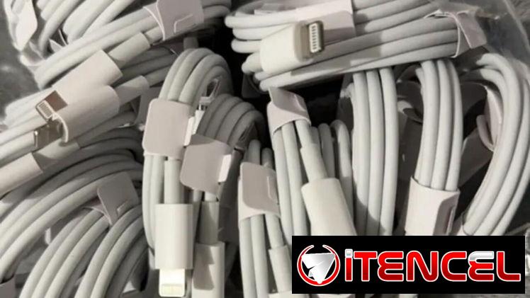 AirPods Pro 2 y Cables Tipo C-Lightning