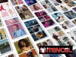 🟡Cerca de 40  000 Plantillas de After Effect,Davinci,Premier (250 x 2000) para Insta*Reel*Marketing*Branding*15*Bodas*