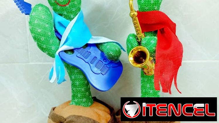Cactus bailarín con accesorios