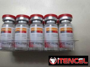 a6e3dadcf2684b1b4db3562871e30b75355ff62a2fc0501feac2cb04c300b73c