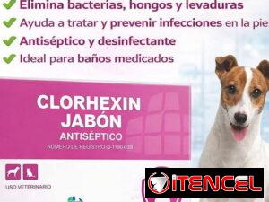 a76681ac03c61246e9e53e31f38a9c2a303549aa98533f3abece8992669b0efa