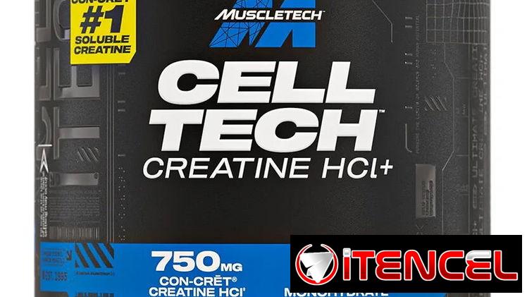 Creatina MuscleTech 120 servicios