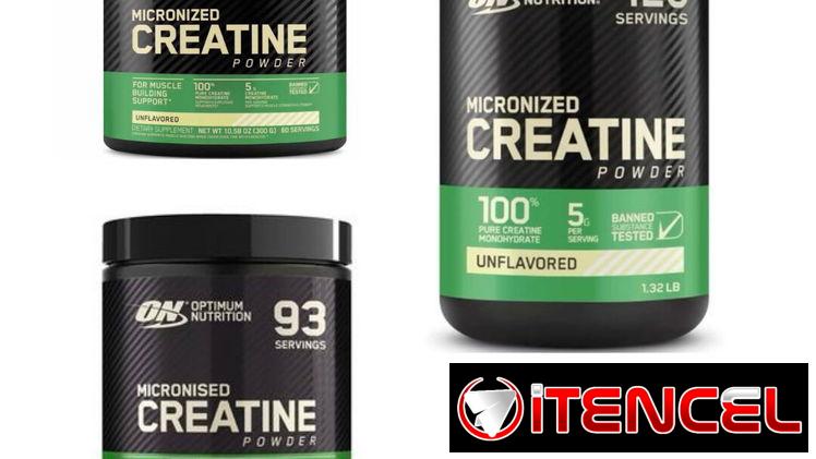 Creatina ON (Optimum Nutrition)- Suplementos