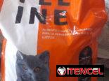 Pienso de gatos a 900 pesos la libra soy de Nuevo Vedado