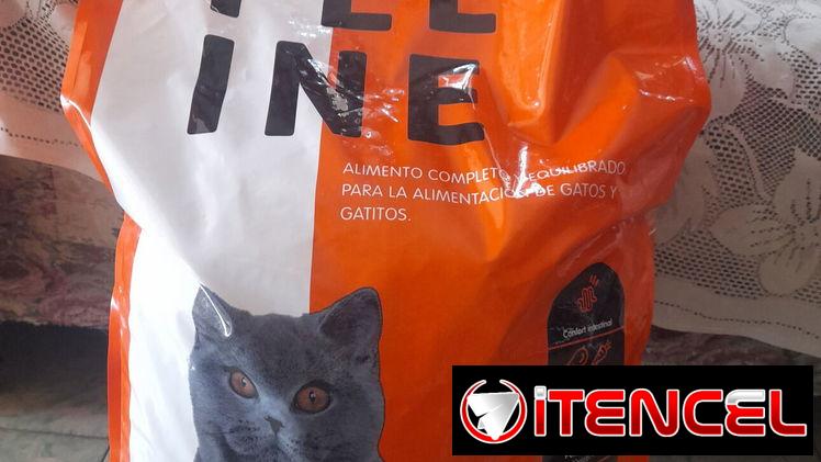 Pienso de gatos a 900 pesos la libra soy de Nuevo Vedado