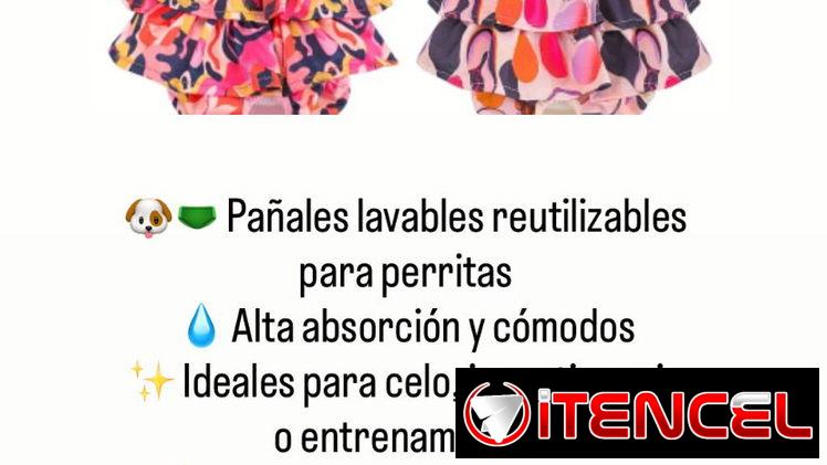 Artículos para mascotas