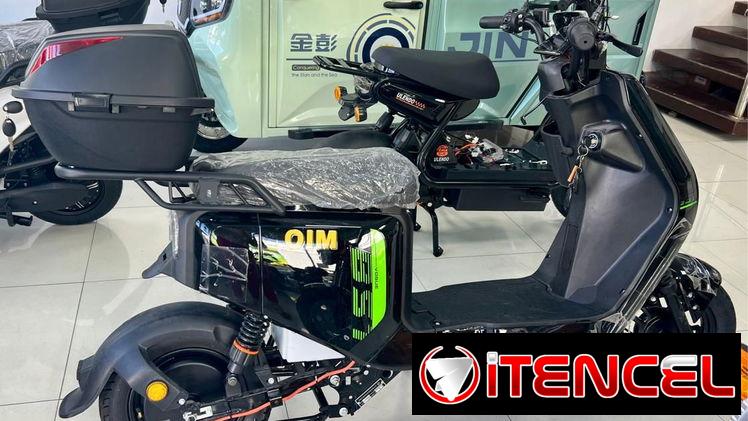 Moto electrica