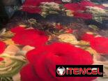 Hacemos y reparamos colchones