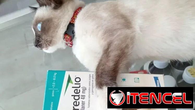 CREDELIO PARA GATOS 48 MG (2-8 KG) LOTILANER