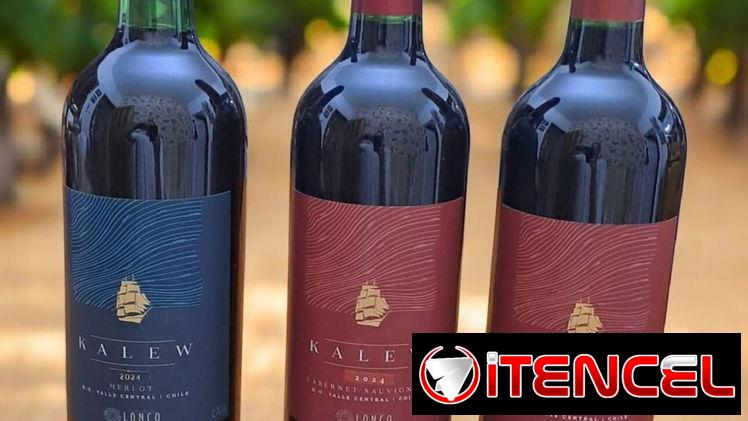••Oferta de Importación••• VINOS CHILENOS/ IMPORTACIóN A PARTIR DE SOLICITUD