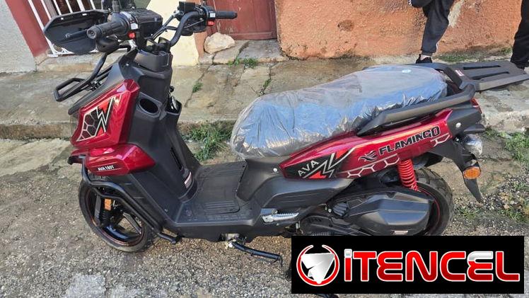 Moto de combustión automática AVA FLAMINGO