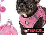 Arreo con pechera