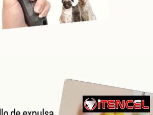 a9acddd64d87cf05ca55a2ffcd33454f665d6e6427b62bdd1122be03f85b4602