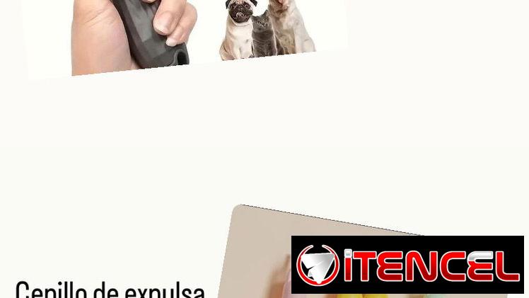 Artículos para mascotas