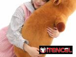 Peluches capibara .   20 USD