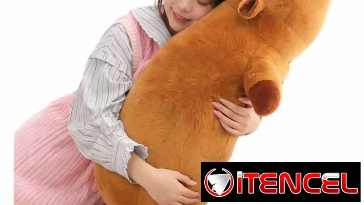 Peluches capibara .   20 USD