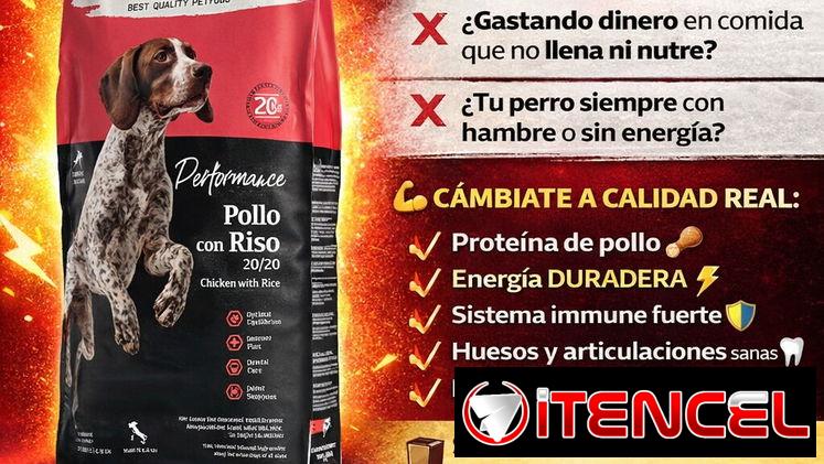 PIENSO IMPORTADO PARA PERROS ADULTOS. BOLSA 20 KG