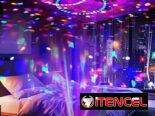 Bolas disco ideales para ambientar negocios en 5000cup
