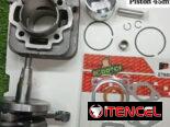 Reparación de planta 2t