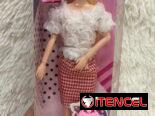 Muñeca Barbie con accesorios