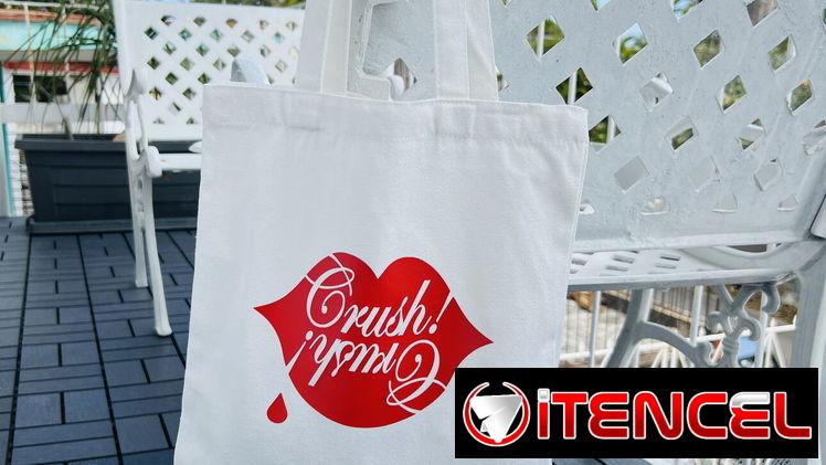 Bolsas de Lona