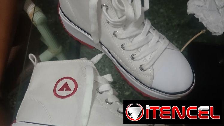 Zapatos tipo converses