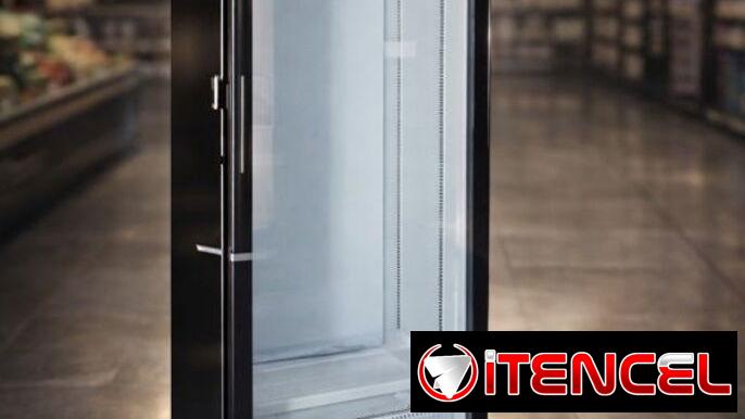 Nevera exhibidora vertical Xings 13.5 pies