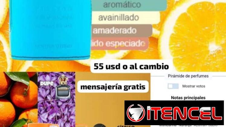 ✨✨Perfumes 🧴 Originales💯, Réplicas y Colonias de Primera calidad☑️ ✨✨