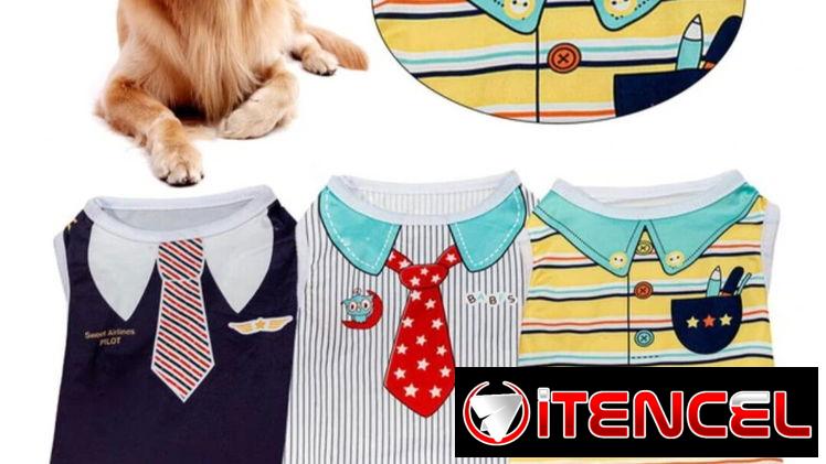 CAMISETA – ABRIGOS – CHUBASQUEROS PARA PERROS Y GATOS