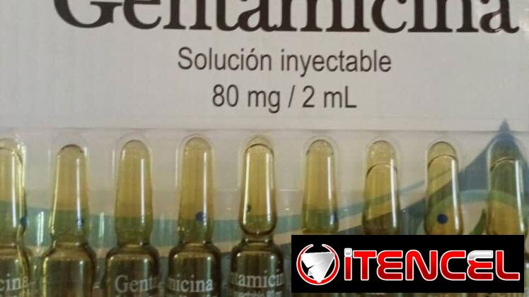 Gentamicina