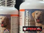 Suplementos para las articulaciones de los perros