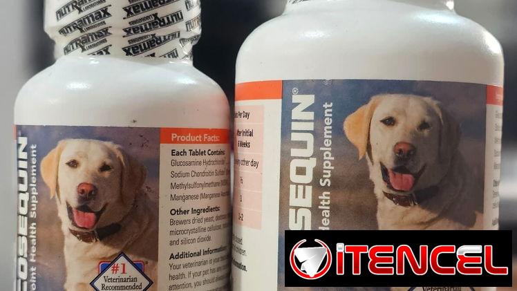 Suplementos para las articulaciones de los perros