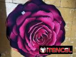 Alfombras 3D originales