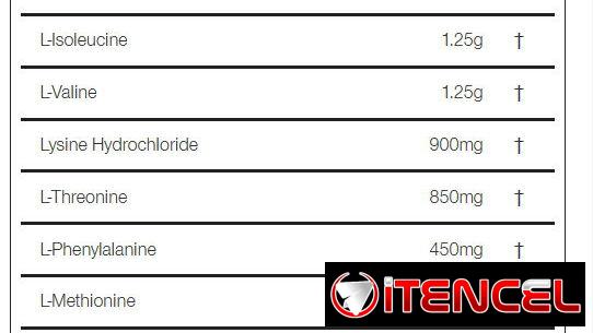 🛒✔ Amino 9 Essencial Marca 𝐑𝐔𝐋𝐄 𝐎𝐍𝐄+Guantillas de 🎁REGALO precio 25USD/CUP