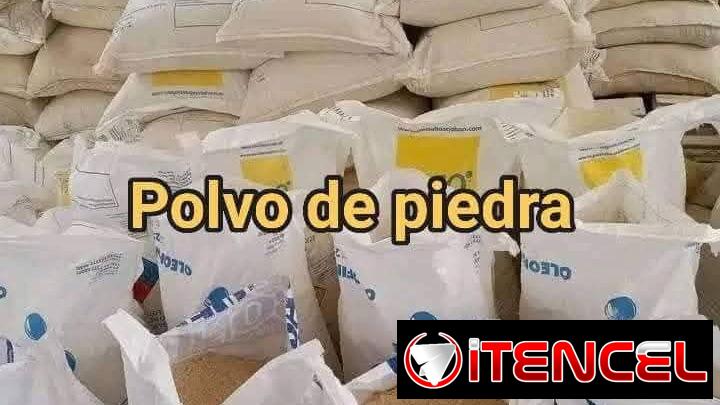 Polvo piedra