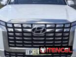 Hyunday Palisade caligraphe 2024 al detalle