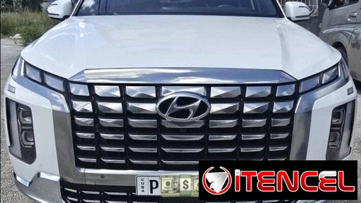 Hyunday Palisade caligraphe 2024 al detalle