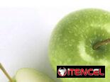 NUTRIPLUS L-Carnitine