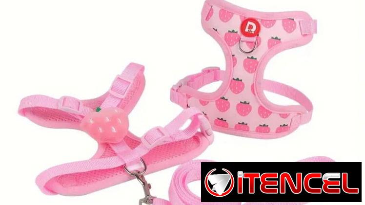 Correas con pecheras!!