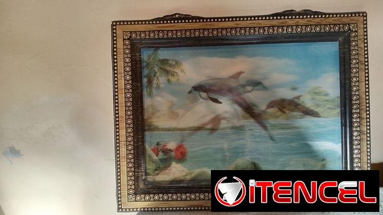Se vende cuadros en 3D