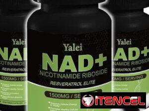 acdee2f1ae99edff4738018772b1eccd92a52b6aa7ea9a2d5f03f532664cec56