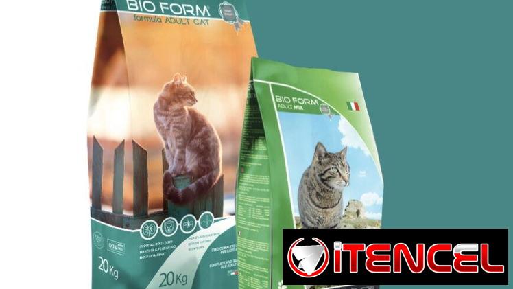 PIENSO IMPORTADO PARA GATOS 🐱 BOLSA 2 Kg Carne Verduras