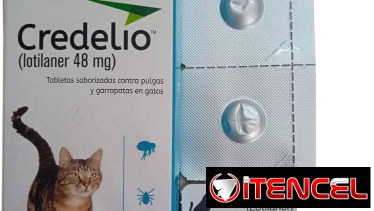 Credelio para gatos