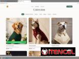 ¿Necesitas una página web? Te la creo rápido y barata