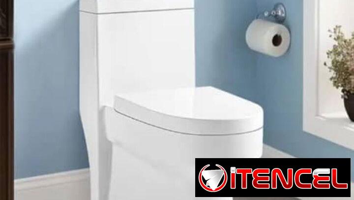 Tasa de baño monolitica