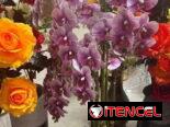Macetas con flores artificiales