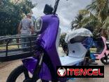 MOTICO MIDHA