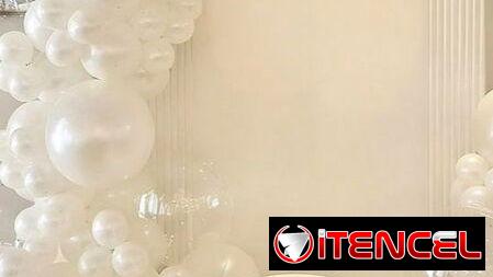 Decoración para Revelación de sexo/género, baby Shower, fiestas y eventos