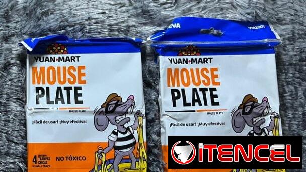 Trampas chicas de pegamento para ratones